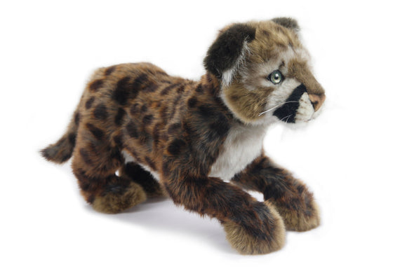 Plush branded toys at a discount price.`