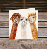 Field and Fur Gifts - Alpaca greetings card box set (10 cards with envelopes) (