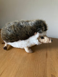 Hansa African Pygmy Hedgehog 23cmL Special price for Christmas
