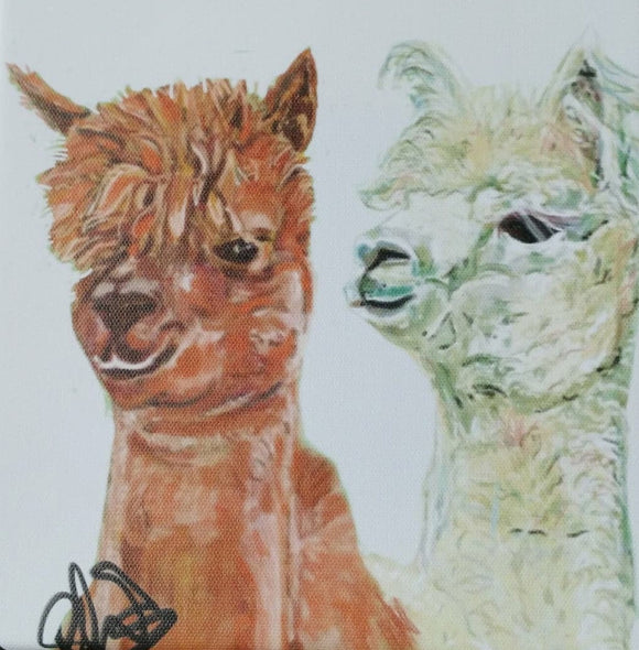 Alpaca Pair Canvas Print by Lisa WB - Gifteasy Online
