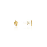 Joma Jewellery treasure The Little Things Hello Summer Earrings - Gifteasy Online