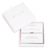 Joma Jewellery Beautifully Boxed Amazing Auntie Bracelet - Gifteasy Online