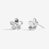 Joma Jewellery Treasure the Little Things Hello Beautiful Earrings - Gifteasy Online