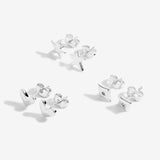 Joma Jewellery Occasion Earring Box Birthday Girl - Gifteasy Online