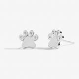 Beautifully Boxed  A Little 'Love Has Four Paws' Earrings  by Joma Jewellery - Gifteasy Online