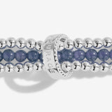 Joma Jewellery Wellness Stones 'Courage' Blue Lace Agate Bracelet - Gifteasy Online