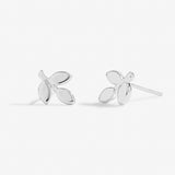 'Forever Family' Occasion Earring Box.   by Joma Jewellery - Gifteasy Online