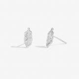 Florence Feathers Earring Set   by Joma Jewellery - Gifteasy Online