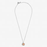 Joma Jewellery Sentiment Spinners Family Necklace - Gifteasy Online
