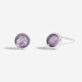 February Birthstone Boxed Earrings  by Joma Jewellery