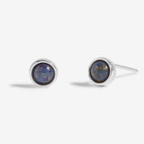 September  Birthstone Boxed Earrings  by Joma Jewellery