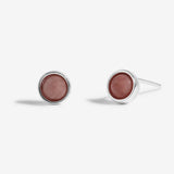 October Birthstone Boxed Earrings  by Joma Jewellery