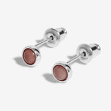 October Birthstone Boxed Earrings  by Joma Jewellery