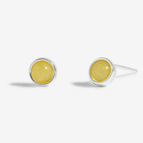 November Birthstone Boxed Earrings  by Joma Jewellery