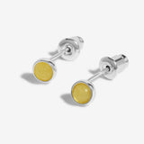 November Birthstone Boxed Earrings  by Joma Jewellery