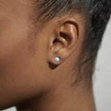 December Birthstone Boxed Earrings  by Joma Jewellery