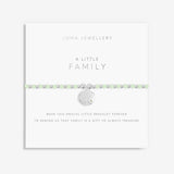 Colour Pop A Little 'Family' Bracelet By Joma Jewellery