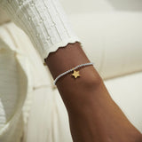 A Little Shine Bright on Your Birthday  Bracelet By Joma Jewellery