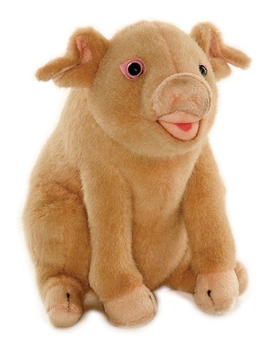 Pig 20Cm Plush Soft Toy - Gifteasy Online