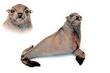 Hansa Sea Lion 45cm L - Gifteasy Online