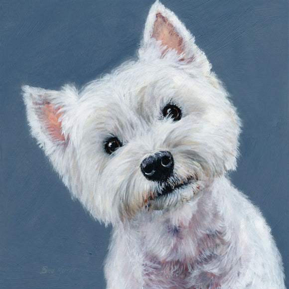 Bree Merryn  Box Canvas Print Finley Westhighland White Terrier 40cm x 40cm Boxed - Gifteasy Online