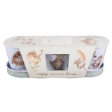 Wrendale Countryside Herb Pots with Tray - Gifteasy Online