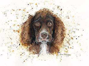 Bree Merryn  Coco the Spaniel Canvas Cutie 15 x 20 cm - Gifteasy Online