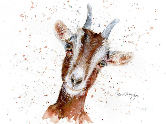 Bree Merryn Gideon Goat Canvas Cutie - Gifteasy Online