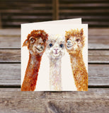 Field and Fur Gifts - Alpaca greetings card box set (10 cards with envelopes) (