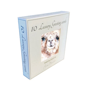 Field and Fur Gifts - Alpaca greetings card box set (10 cards with envelopes) (