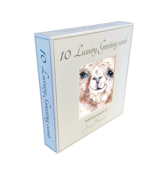 Field and Fur Gifts - Alpaca greetings card box set (10 cards with envelopes) (