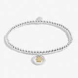 Boxed A Little 'Pets Leave Pawprints On Our Hearts' Bracelet In Silver Plating And Gold Plating by Joma Jewellery