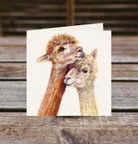 Field and Fur Gifts - Alpaca greetings card box set (10 cards with envelopes) (