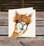 Field and Fur Gifts - Alpaca greetings card box set (10 cards with envelopes) (