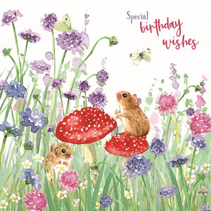 Otter House Wild & Serene Card Collection - Mice & Toadstools