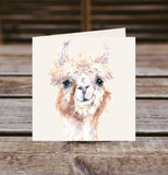 Field and Fur Gifts - Alpaca greetings card box set (10 cards with envelopes) (