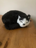 Ravensden Soft Toy Black & White  Cat