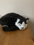 Ravensden Soft Toy Black & White  Cat