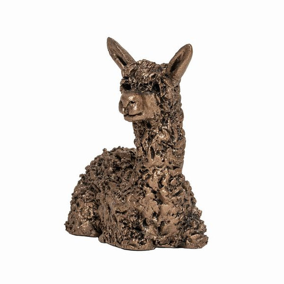 Frith Miniature Alpaca sitting - MINIMA VBM018