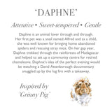 Wrendale Daphne Guinea Pig Plush Toy Junior