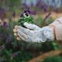 Wrendale  Bee  Garden Gloves "Blooming with Love'