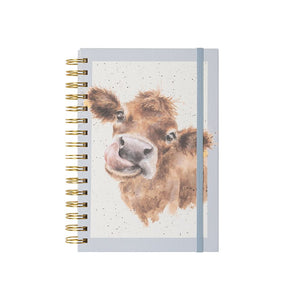 Wrendale - 'Mooo' Cow  Blue Notebook