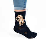 Wrendale Hopeful Labrador Puppy Socks