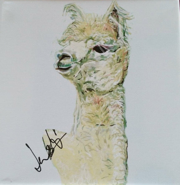 Alpaca Print on Canvas by Lisa WB - Gifteasy Online