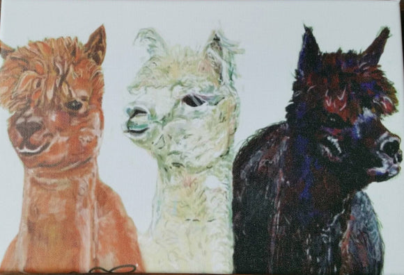 Alpaca Trio Print on Canvas by Lisa WB - Gifteasy Online