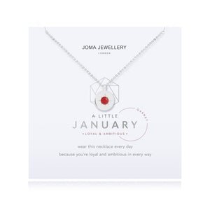 Joma Jewellery Birthstone Necklace January - Gifteasy Online
