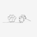 Joma Jewellery Treasure the Little Things Love Has Four Paws Earrings - Gifteasy Online