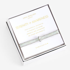 Joma Jewellery Wellness Stones Amazonite Bracelet - Gifteasy Online