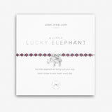 Colour Pop A Little 'Lucky Elephant' Bracelet By Joma Jewellery - Gifteasy Online