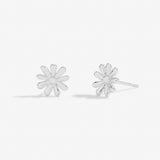 Darling Daughter Occasion Earring Box  by Joma Jewellery - Gifteasy Online